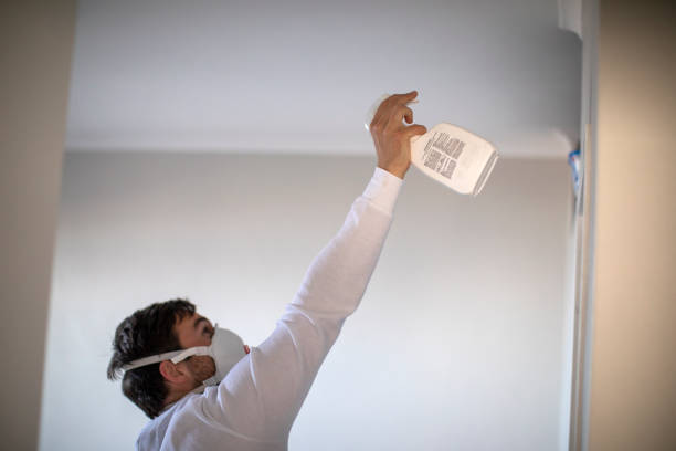 Best Emergency Mold Remediation in Ogden, NC