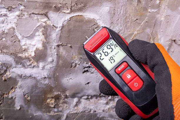 Best Residential Mold Remediation in Ogden, NC
