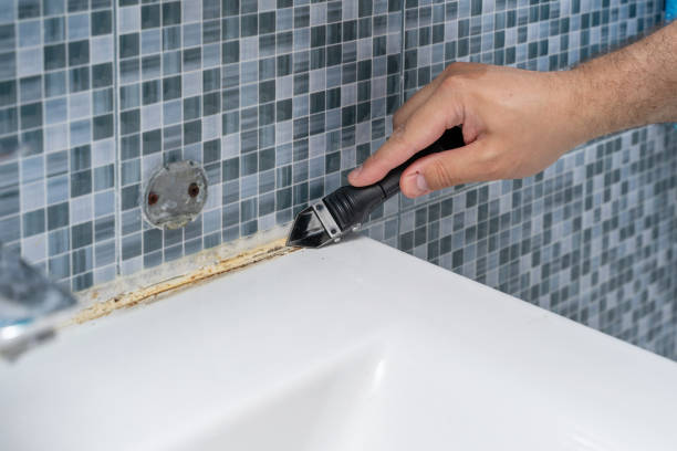 Professional Mold Remediation in Ogden, NC